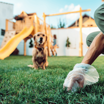 Can I Report My Neighbor for Not Picking Up Dog Poop?