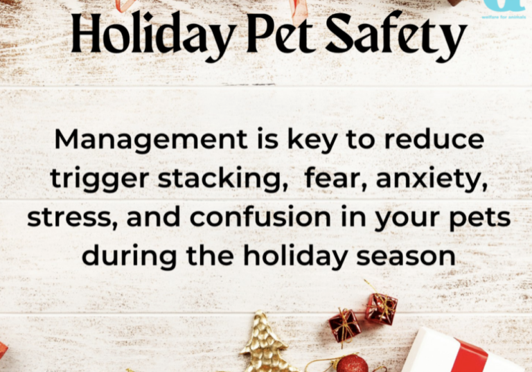 trigger stacking holiday pet safety